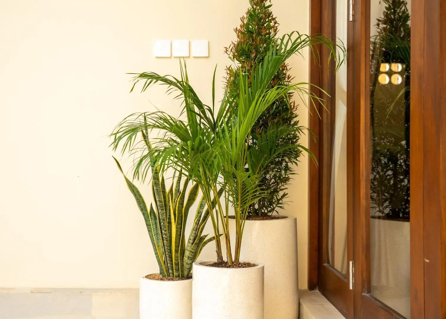 New! 3Bdr Hnrr Villa Umalas Kerobokan  0*, Kerobokan (Bali)